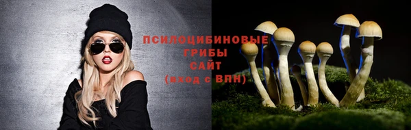 дмт Алзамай