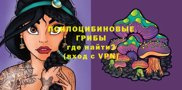 Альфа ПВП Алексин