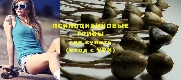 дмт Алзамай