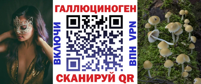 Галлюциногенные грибы Psilocybe  Пучеж 